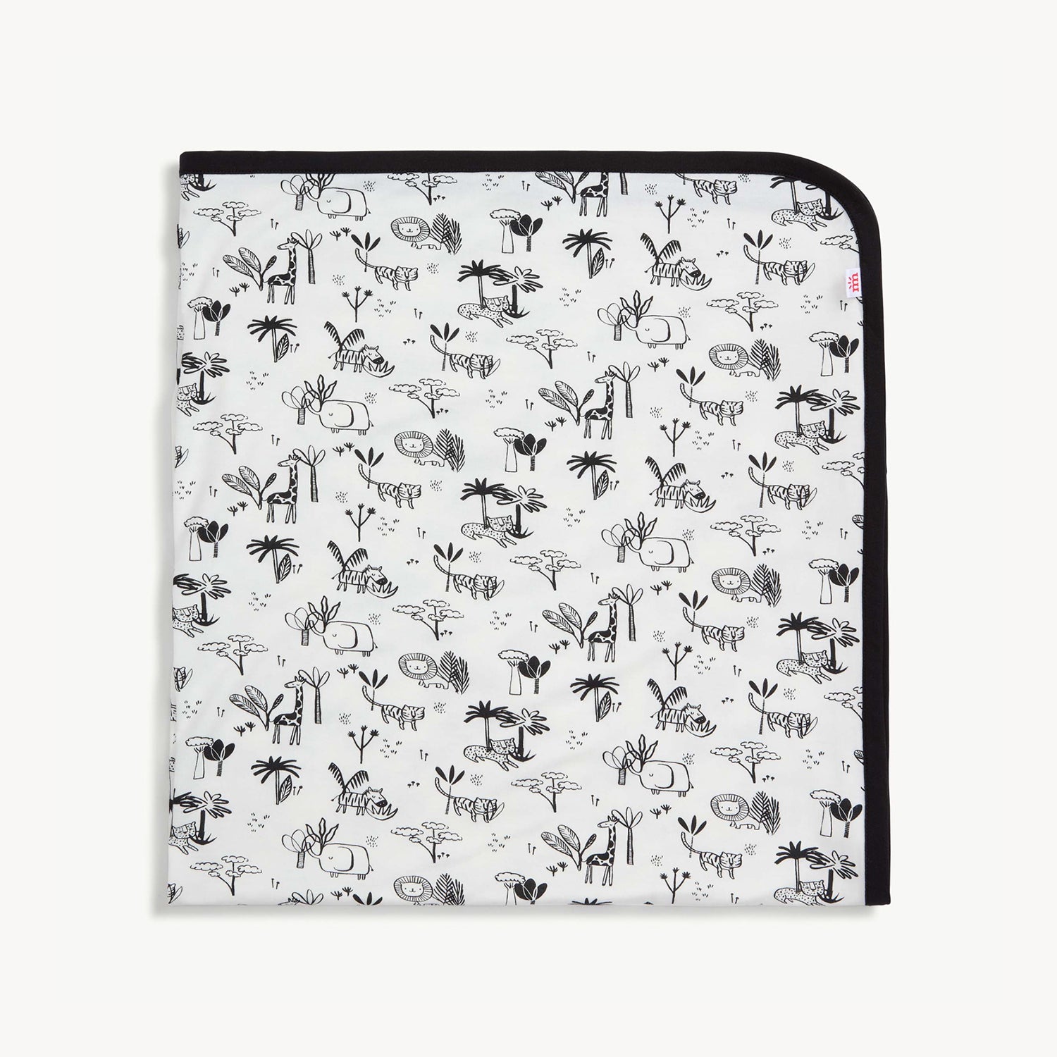 Baby Blanket
