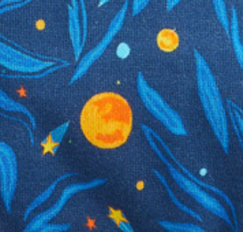 Space Ace