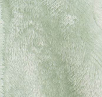 Soft Spruce