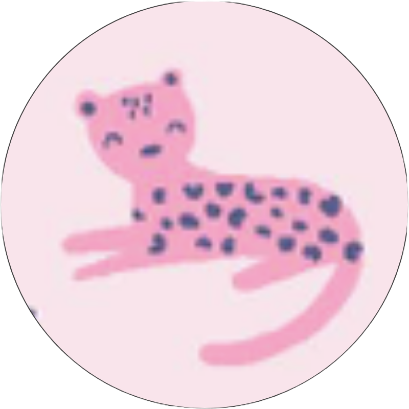 Cheetah Bonita