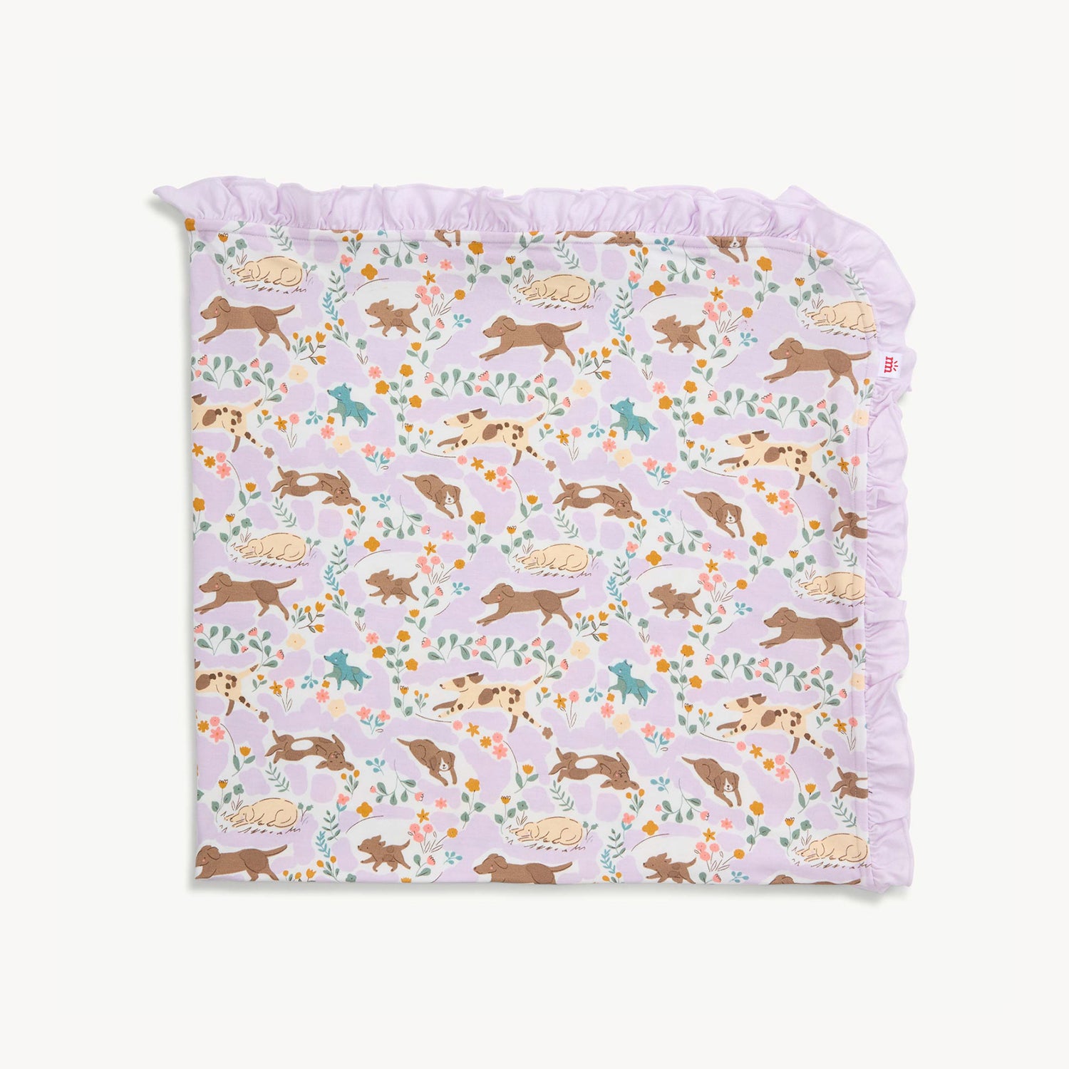Baby Blanket