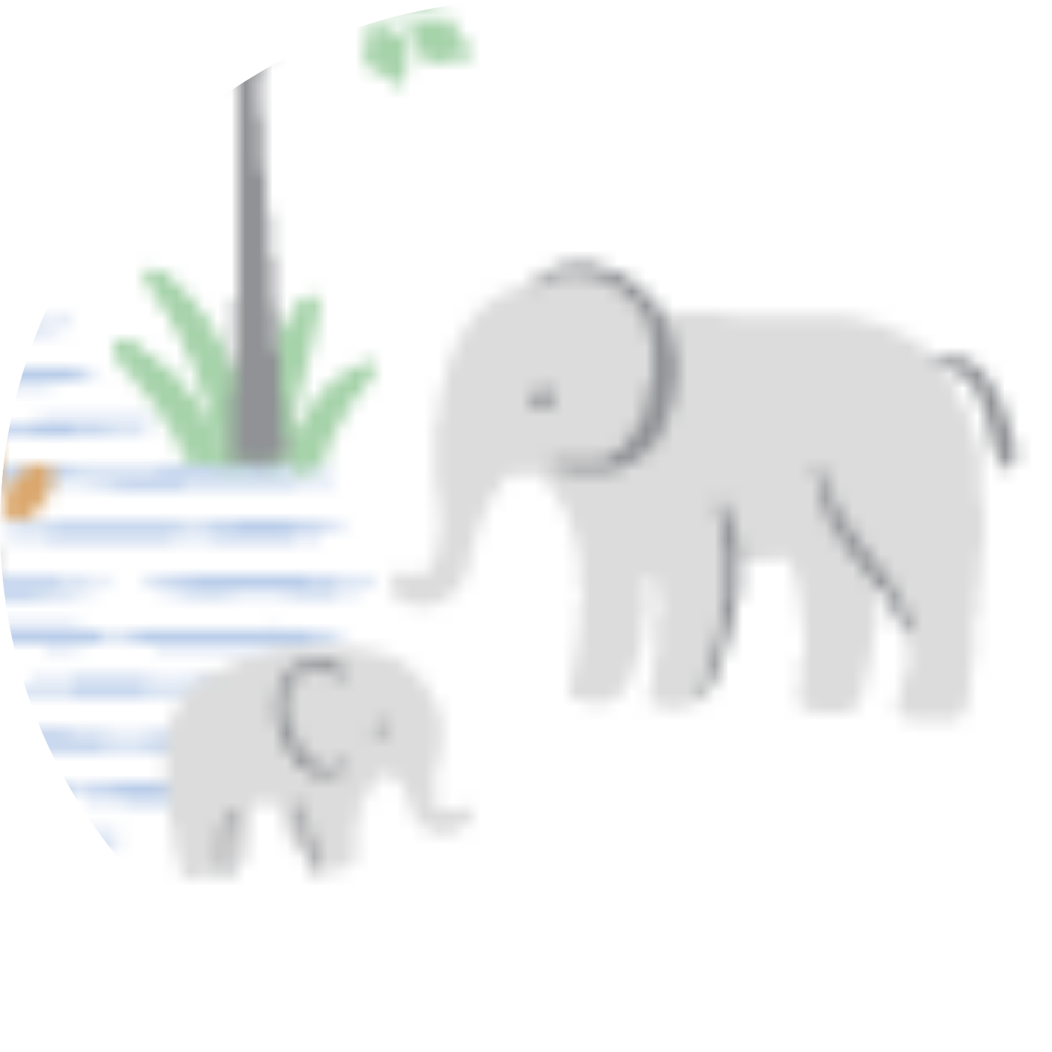 White Serene Safari