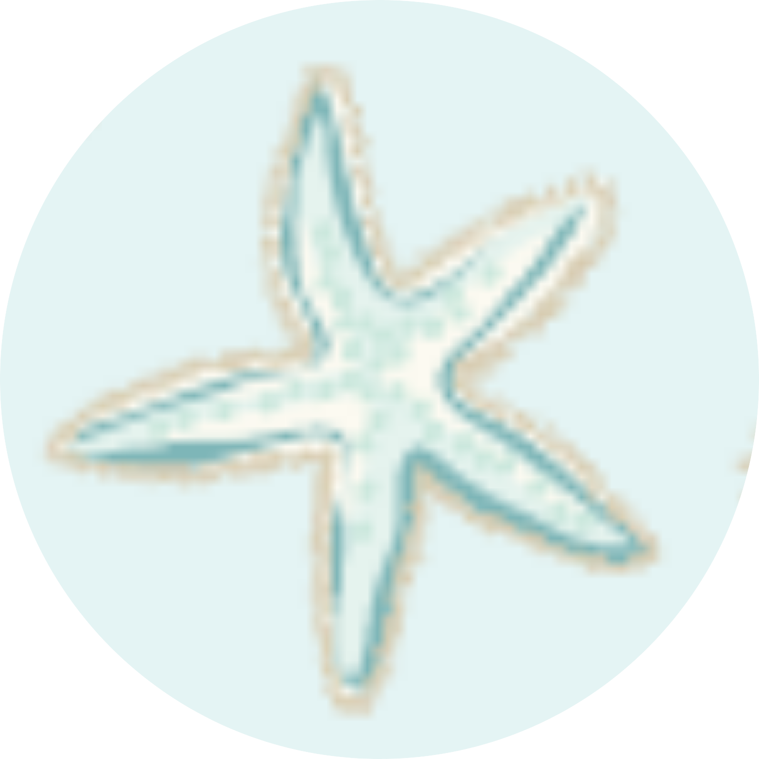 Shine Bright Like a Starfish 