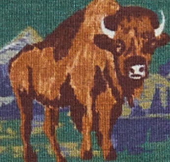 Bison