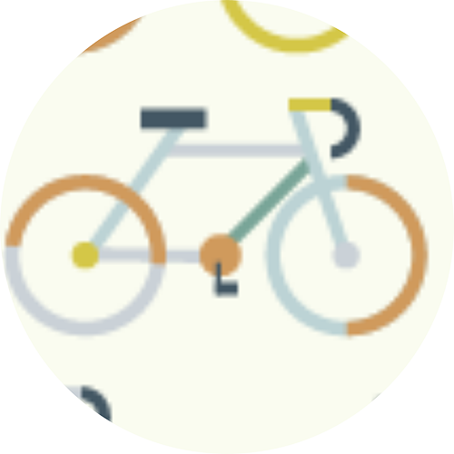 life cycle