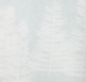 Birch Trees