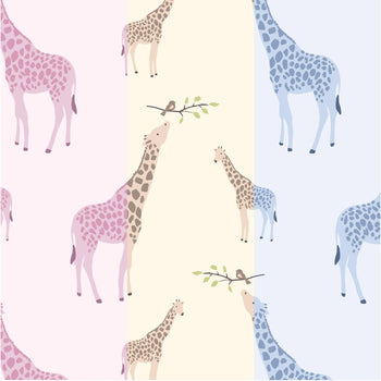 jolie giraffe