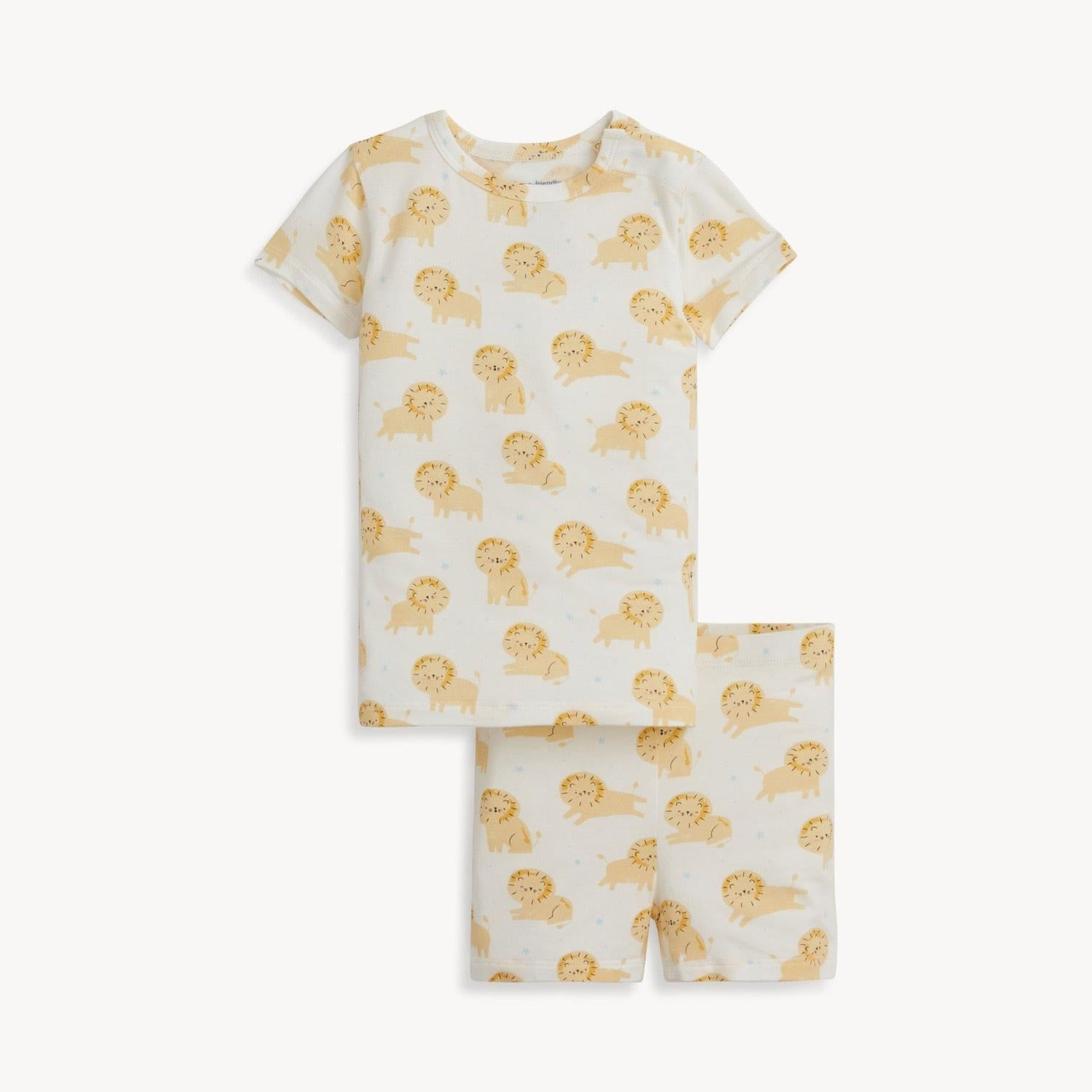 Magnetic PJ Set