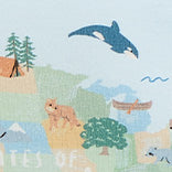 America The Beautiful