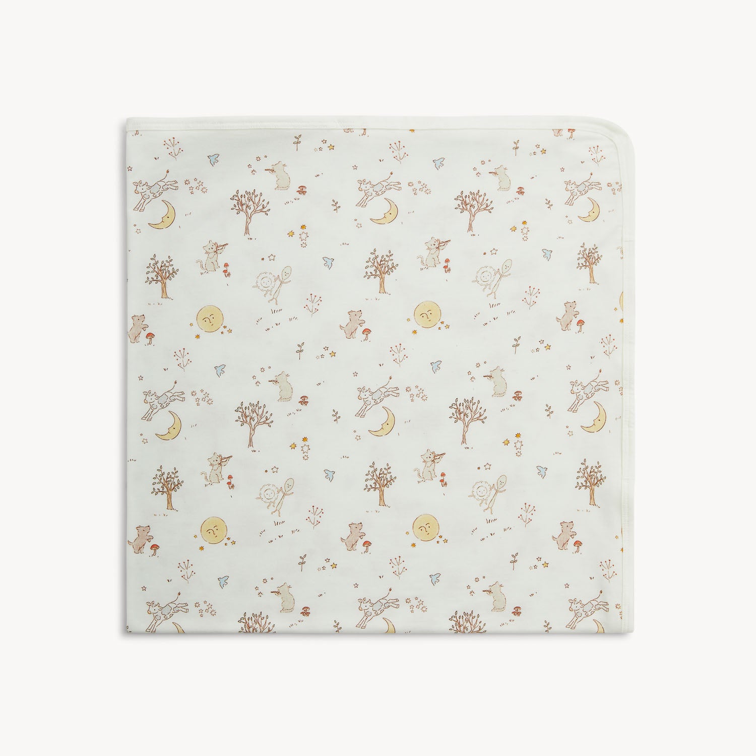 Baby Blanket