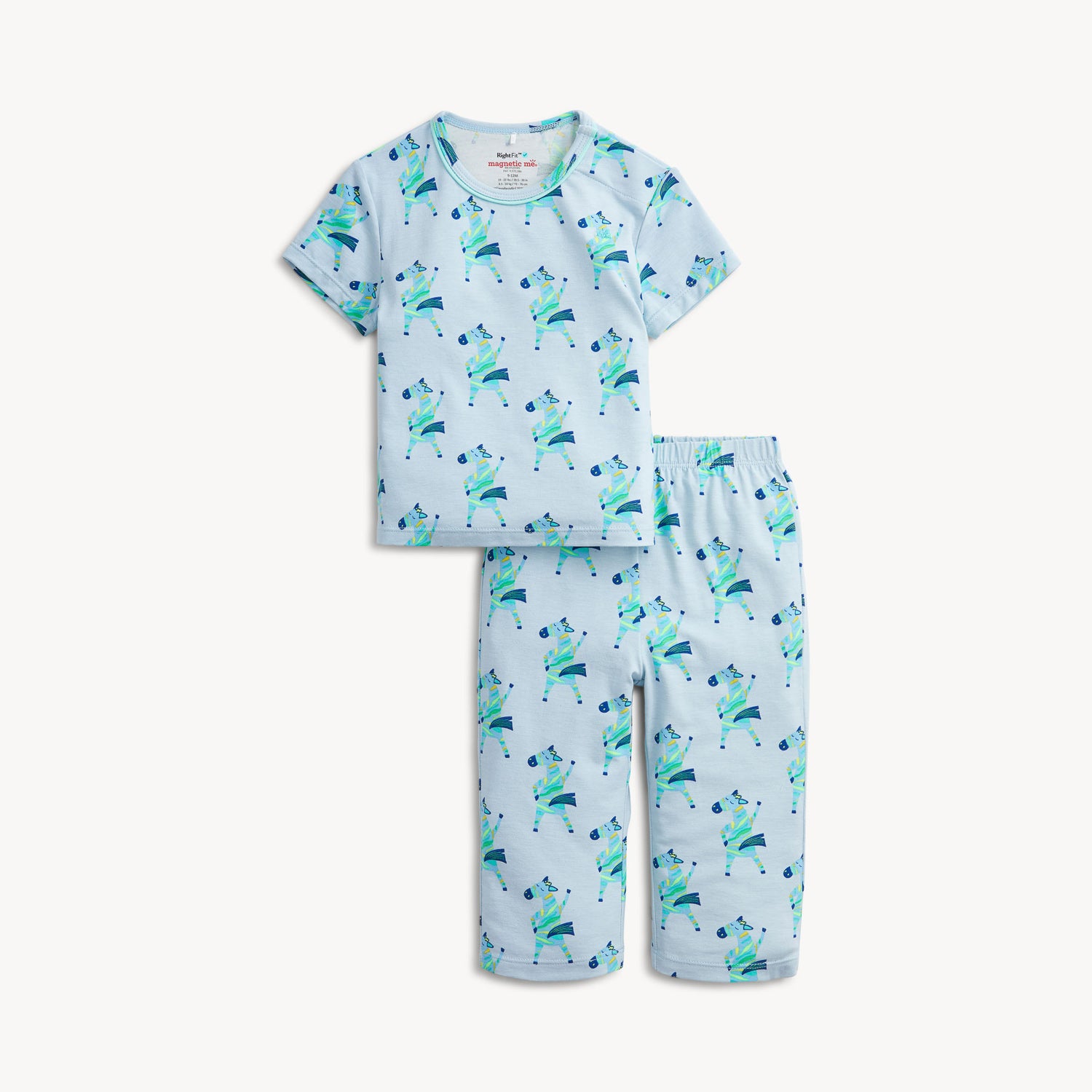 Magnetic PJ Set