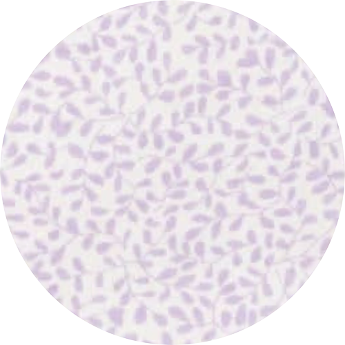 Lilac Foliage
