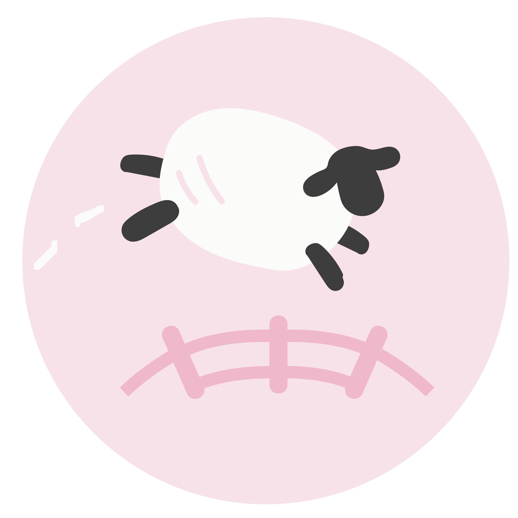 Baa Baa Baby Pink