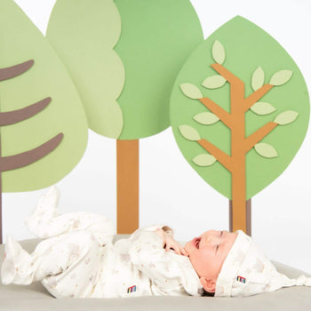 little peanut organic cotton magnetic take-me-home kimono set