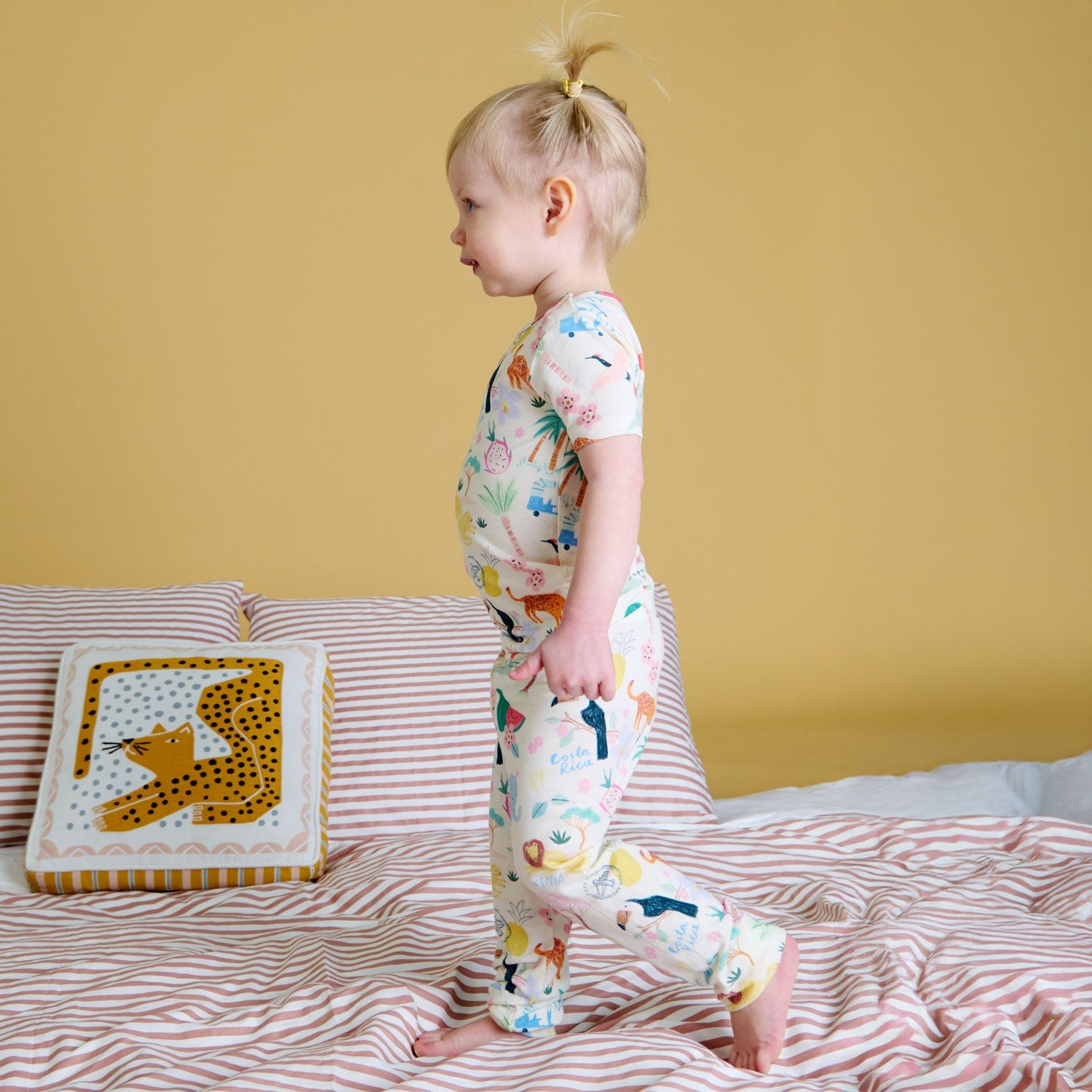 Magnetic PJ Set